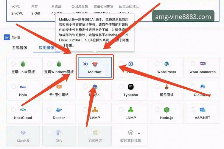 新葡萄平台老用户分享：AMG官网教程必备的完整操作心得与实战经验